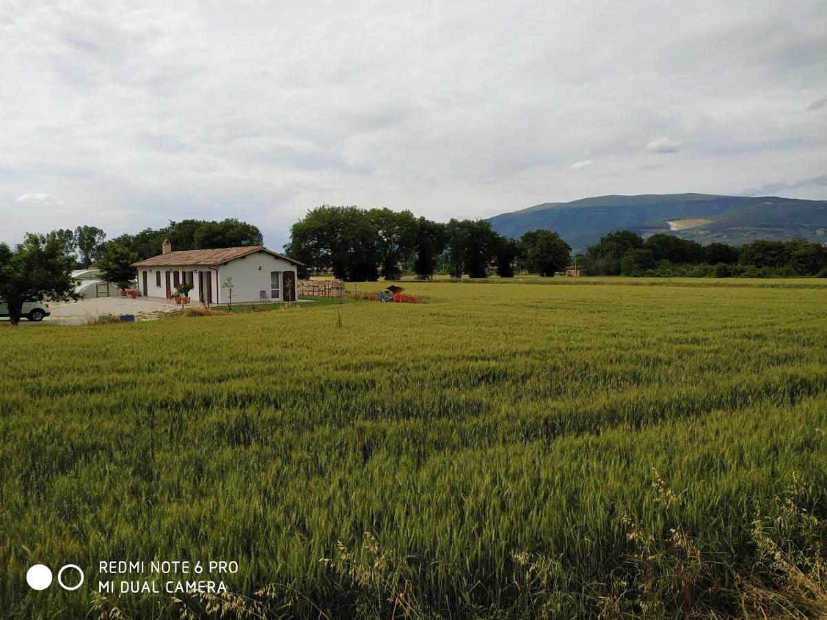 Agriturismo " Le Serre" Spello Bagian luar foto