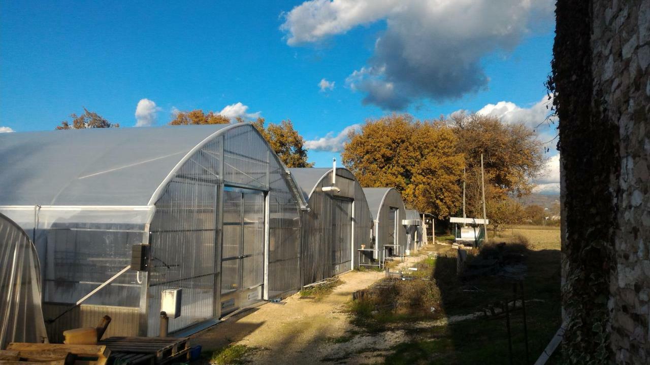 Agriturismo " Le Serre" Spello Bagian luar foto
