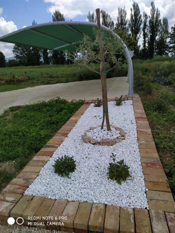 Agriturismo " Le Serre" Spello Bagian luar foto