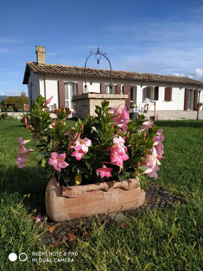 Agriturismo " Le Serre" Spello Bagian luar foto