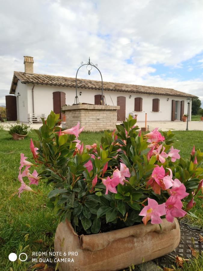 Agriturismo " Le Serre" Spello Bagian luar foto